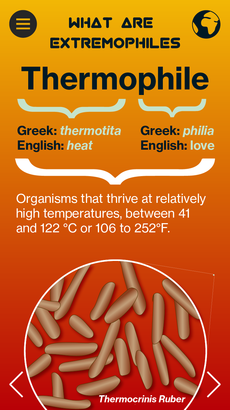 Extremophiles Infographic Pannel